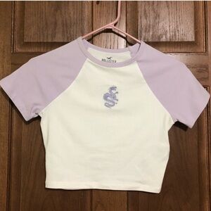 Hollister dragon embroidery short sleeve crop top